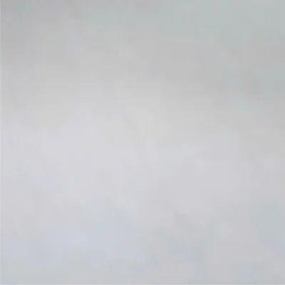 Gạch 100x100 10003R_050A