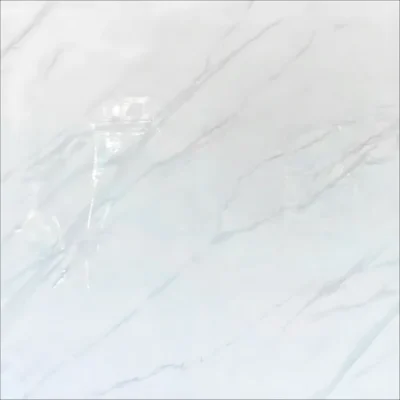 Gạch 100x100 7102_160B