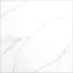 Gạch 100x100 1101_073A