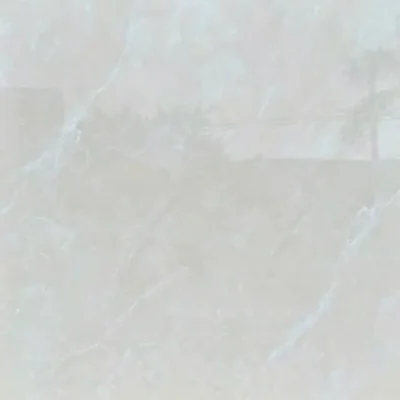 Gạch 120x120 5114_160B