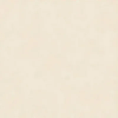 Gạch 120x120 BD9534_011A