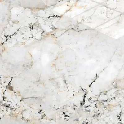 Gạch 120x120 1207_073A