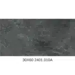 Gạch 30x60 TSA2401_010A