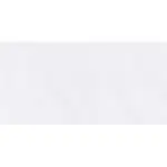 Gạch 40x80 FH84105P_062B