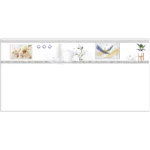 Gạch 30x60 TL2031 viền_010A