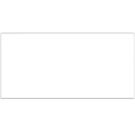 Gạch 30x60 TL2056 thân_010A