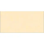 Gạch 30x60 TN3911 đậm_017A