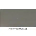 Gạch 30x60 VG368818 đậm_173B