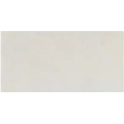 Gạch 30x60 VG368829 lợt_173B