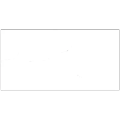 Gạch 40x80 TSA4366 thân_010A