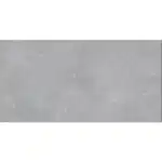 Gạch 40x80 TSA4371 đậm_010A