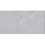 Gạch 40x80 TSA4375 đậm_010A