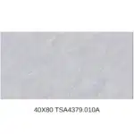 Gạch 40x80 TSA4379 đậm_010A