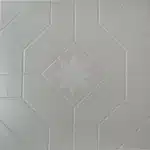 Gạch 50x50 GS50307_001A