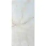 Gạch 60x120 3005_160B