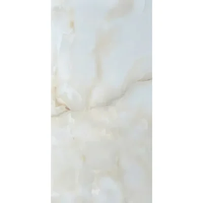 Gạch 60x120 3005_160B