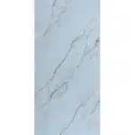 Gạch 60x120 3328_160B