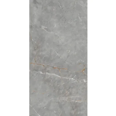 Gạch 60x120 TM126836S_042B