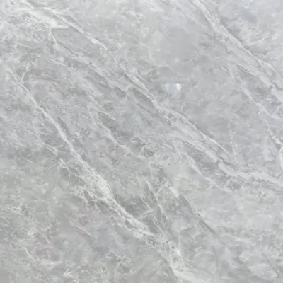 Gạch 60x60 HPT60203_062B