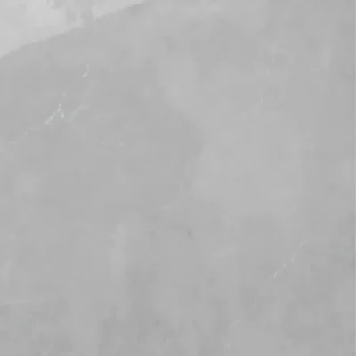 Gạch 60x60 BD5539_011A