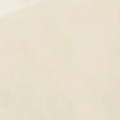 Gạch 60x60 BD5542_011A