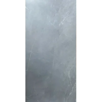 Gạch 60x120 C61MG607_132B