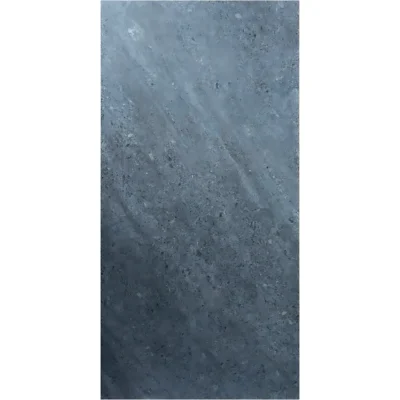 Gạch 60x120 C61SG611_132B