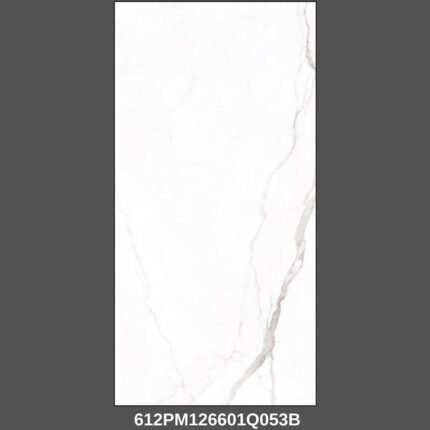 Gạch 60x120 612PM126601Q Porcelain mờ mịn