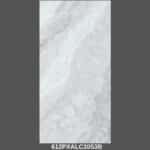 Gạch 60x120 612PXALC2 Porcelain bóng