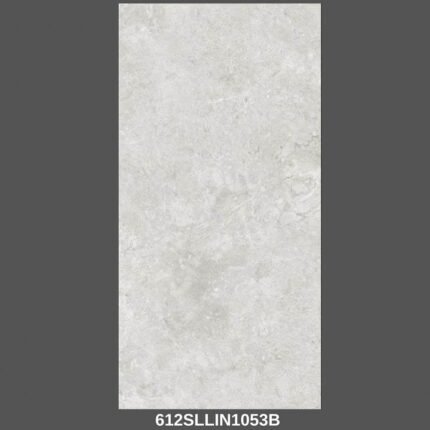 Gạch 60x120 612SLLIN1 Porcelain mờ mịn Satin