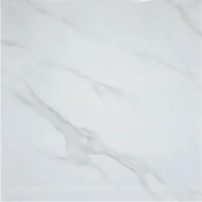 Gạch 80x80 2012_160B