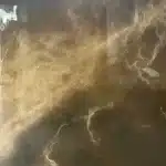 Gạch 80x80 8044_008B