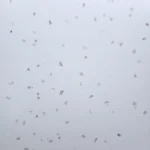 Gạch 80x80 A88TW1068_008B