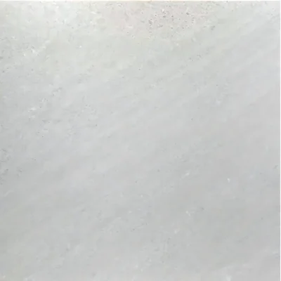 Gạch 80x80 C88SP609_132B