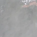 Gạch 80x80 GPC88905_006A