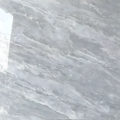 Gạch 100x100 91113_040A