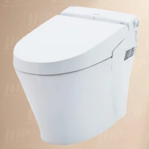 Bồn cầu INAX AC-618VN/BW1