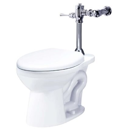 Bộ xả tay gạt bồn cầu CAESAR BF521A