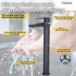 Vòi lavabo CAESAR BT061CBU lạnh, màu đen nhám (Kèm chặn rác bằng sứ) - Ảnh 3