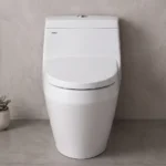 Bồn cầu INAX AC-1035VN/ BW1 (AC1035) 1 khối nắp êm CF-3003VS