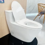 Bồn cầu TOTO MS625DT8#XW 1 khối nắp êm TC600VS - Ảnh 6