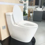 Bồn cầu TOTO MS636DT2#XW 1 khối nắp êm TC393VS - Ảnh 4