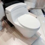 Bồn cầu CAESAR C1353 (CD1353) 1 khối nắp êm MU234, xả gạt - Ảnh 4