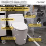 Bồn cầu CAESAR C1353 (CD1353) 1 khối nắp êm MU234, xả gạt - Ảnh 7