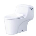 Bồn cầu CAESAR C1353F/ TAF060 (CD1353) 1 khối nắp rửa cơ TAF060, xả gạt