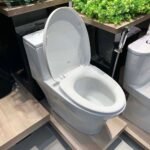 Bồn cầu CAESAR C1356 (CD1356) 1 khối nắp êm M256 - Ảnh 5