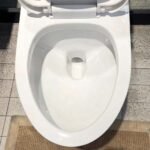 Bồn cầu CAESAR C1356 (CD1356) 1 khối nắp êm M256 - Ảnh 6