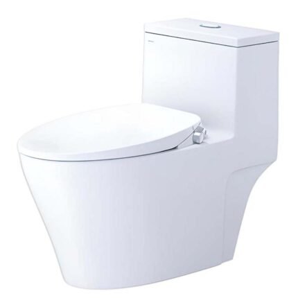 Bồn cầu CAESAR C1356F/ TAF060 (CD1356) 1 khối nắp rửa cơ TAF060