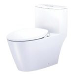 Bồn cầu CAESAR C1363F/ TAF060 (CD1363) 1 khối nắp rửa cơ TAF060