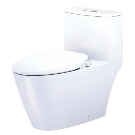 Bồn cầu CAESAR C1363F/ TAF060 (CD1363) 1 khối nắp rửa cơ TAF060